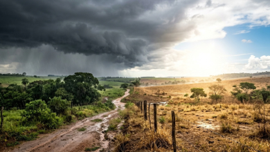 Temporais, calor e mudança de estação: o que o clima dos últimos dias revela sobre o Brasil